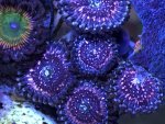 B37A6DE9-3D60-47D8-92B6-DA5B6F0FBEDD.jpg