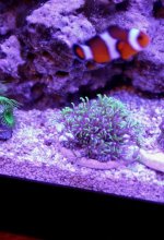 IMG_0339.jpg