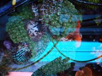 IMG_20190707_135816.jpg