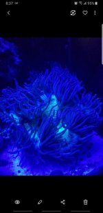 Screenshot_20190414-083751_Gallery.jpg