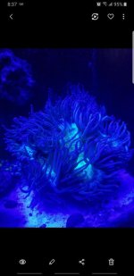 Screenshot_20190414-083759_Gallery.jpg
