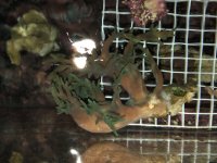 IMG_2279.JPG