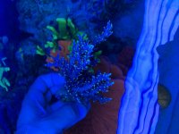 C83CBE84-F0E3-4AAD-B04B-DB33B4B08734.jpg