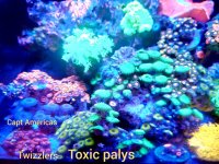 PhotoEditor_20190921_215442023.jpg