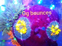 PhotoEditor_20190921_214954067.jpg