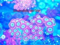 PhotoEditor_20190921_214804885.jpg