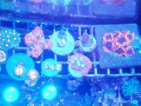 IMG_20190921_214111_1.jpg