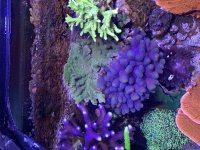 04343946-9E3C-4361-AB9A-2ED20FD29B16.jpg
