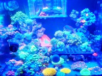PhotoEditor_20190921_221655237.jpg