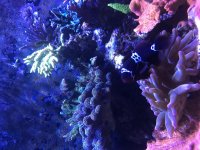 87EB1775-5A8B-46F2-96E4-A193526F2DC0.jpg