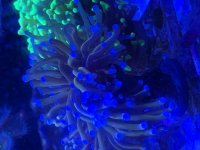 34D09E23-35E5-44E7-9DD1-BBCDC0B03E4F.jpg