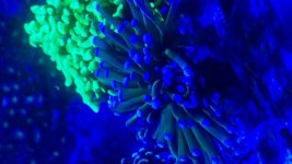 8F2C9D75-346A-4B18-83BC-653F44613BA3.jpg