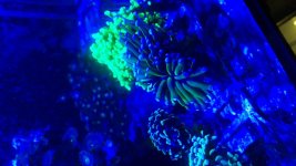 04075675-2071-48E9-B0F0-815B6C383844.jpg