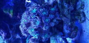 20190922_110424.jpg