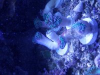 20190417_140711.jpg
