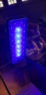 Screenshot_20190712-133020_Gallery.jpg