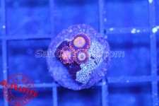 c5eba94c-811d-45ca-bc16-8af5e4b13fb2.jpg