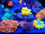 2019-07-14_13.47.25.jpg