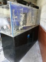 IMG_20190715_130055.jpg