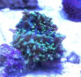 464F2E3D-194E-4DDD-A7DF-5BA5143434F5.jpg