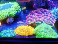 IMG_20190926_220757_4.jpg