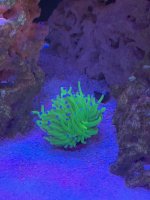 IMG_3219.jpg