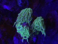 3130849E-2F75-435D-B4D9-1FE1F6472BA1.jpg