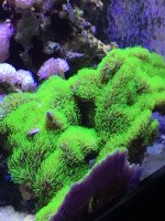 IMG_0283.JPG