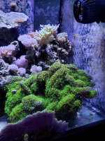20190827_231225.jpg