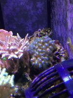 IMG_0280.JPG