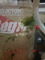 20190921_211325.jpg