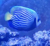 20191002_181536.jpg