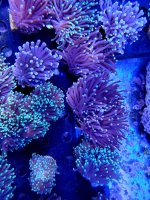 20191002_113938.jpg
