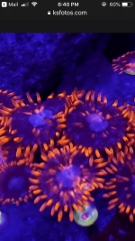 C38CF407-4534-46F1-B460-3C44435A139B.png