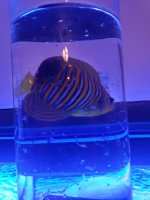 20190830_192329.jpg