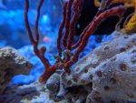 IMG_20191009_125142.jpg