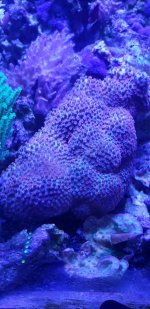 20191020_164122.jpg