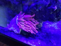 20191023_094951.jpg