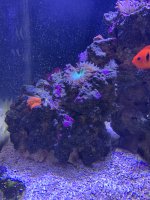 IMG_3493 2.JPG
