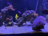 IMG_3491 2.JPG