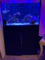 IMG_3497.JPG