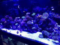 B3F6D631-003F-4A85-85C6-3D778B175244.jpeg