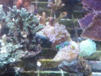 20191108_135834.jpg