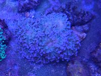 20191109_160137.jpg