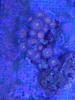 20191109_160044.jpg