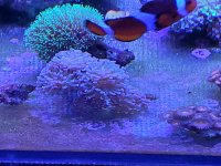 20191109_160119.jpg