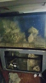 IMG_0221.JPG