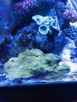 IMG_6733.jpg