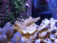 IMG_1699.jpeg
