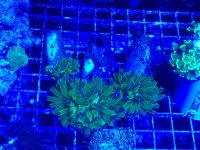 IMG_3094.jpg
